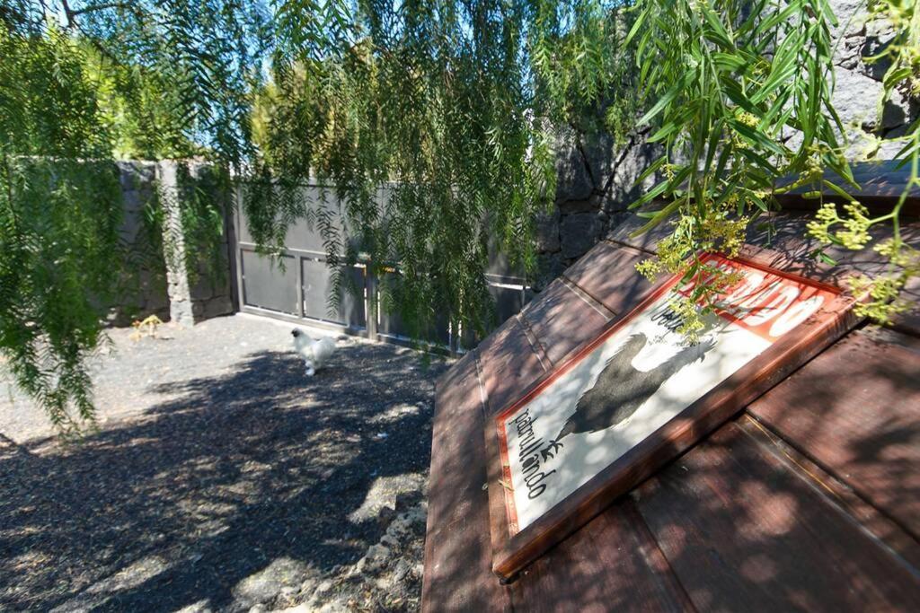 Casa Gasparini Tahiche Екстериор снимка
